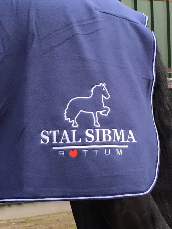 Accumulatie bruid haai Stal Sibma, manege en verkoop van friese paarden - Gezocht: flinke  stalhulp!!